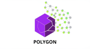 Polygon Hemidall Mainnet Suffers Brief Outage: Bor Layer Remains Operational